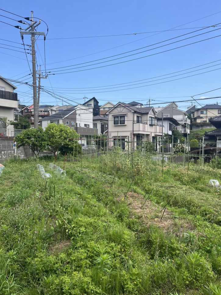 【05/25】未知の畑