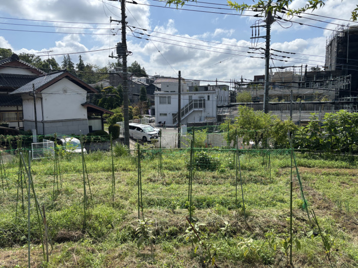 【250817一枚の畑から】一進一退の畑