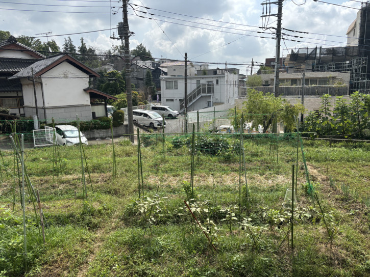 【250916一枚の畑から】畑のバランス
