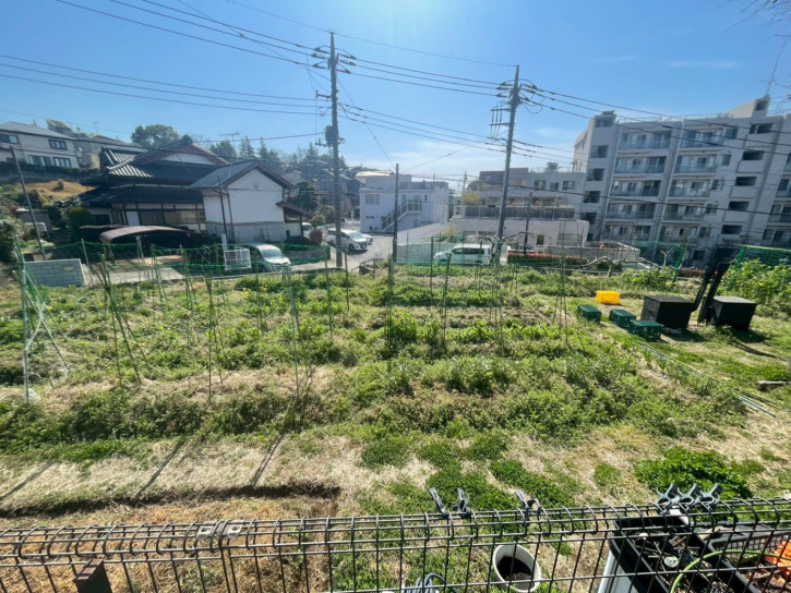 【20260321】一枚の畑から